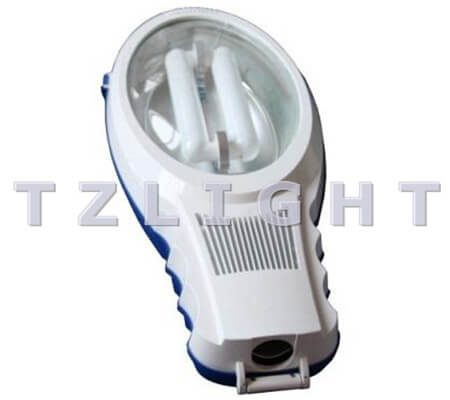 induction road luminaire