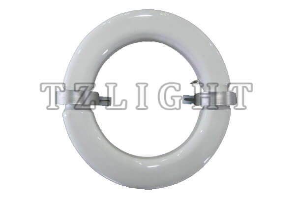 ring induction lamp