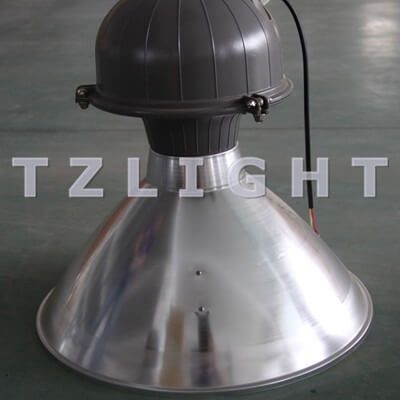 induction plant light